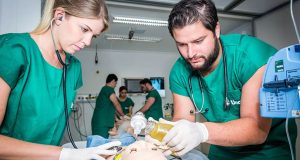 Comprar Diploma Medicina